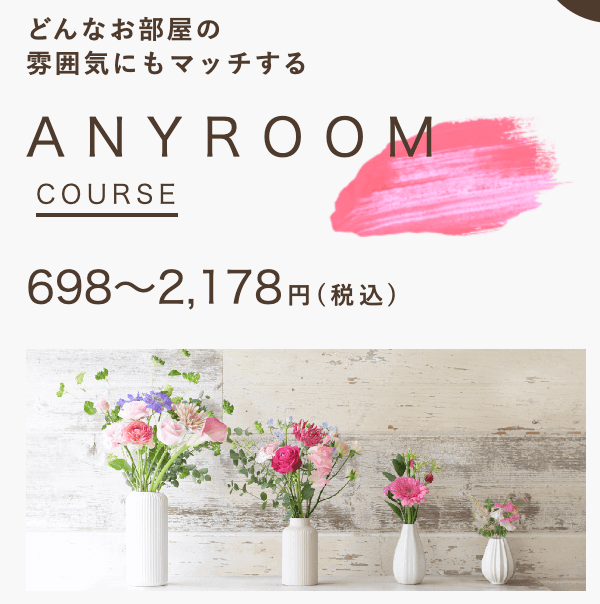 medelu ANYROOMコース