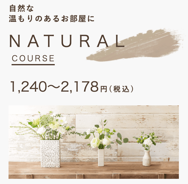 medelu NATURALコース